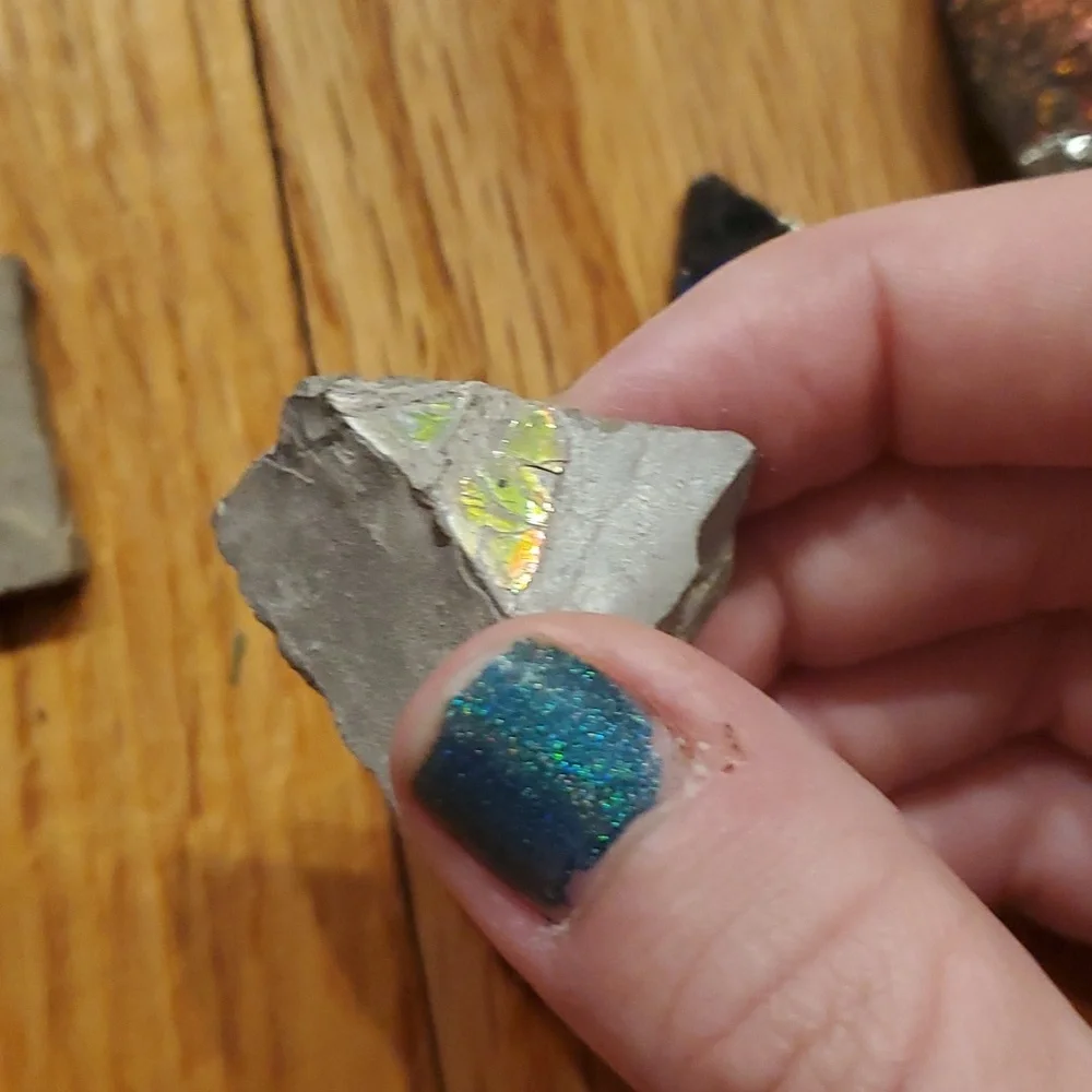 Ammolite fossil lot - Picture 9 of 12